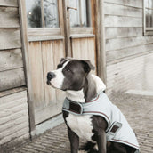 Kentucky Dogwear Cappotto per Cane Waterproof 160 g Dusty Blue Kentucky Dogwear Cappotto per Cane Waterproof 160 g Dusty Blue