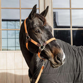 Kentucky Horsewear Cavezza Nylon intrecciato Arancia Kentucky Horsewear Cavezza Nylon intrecciato Arancia