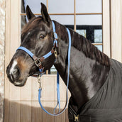Kentucky Horsewear Cavezza Nylon intrecciato Azzurro Kentucky Horsewear Cavezza Nylon intrecciato Azzurro