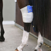 Kentucky Horsewear Calzini da equitazione Tendon Grip Beige Kentucky Horsewear Calzini da equitazione Tendon Grip Beige