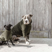 Kentucky Dogwear Maglione per cani Teddy Fleece Pine Green Kentucky Dogwear Maglione per cani Teddy Fleece Pine Green
