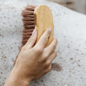 Grooming Deluxe by Kentucky Spazzola Media Marrone Grooming Deluxe by Kentucky Spazzola Media Marrone