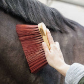 Grooming Deluxe by Kentucky Spazzola Media Long Marrone Grooming Deluxe by Kentucky Spazzola Media Long Marrone