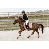 Kentucky Horsewear Stinchiere Bamboo Elastic Vegan Sheepskin Rosa Vecchia Kentucky Horsewear Stinchiere Bamboo Elastic Vegan Sheepskin Rosa Vecchia