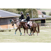 Kentucky Horsewear Stinchiere Bamboo Elastic Vegan Sheepskin Rosa Vecchia Kentucky Horsewear Stinchiere Bamboo Elastic Vegan Sheepskin Rosa Vecchia