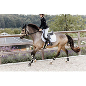 Kentucky Horsewear Stinchiere Bamboo Elastic Vegan Sheepskin Nero Kentucky Horsewear Stinchiere Bamboo Elastic Vegan Sheepskin Nero