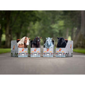 LeMieux Mini pony Mini Pony Freya Brown LeMieux Mini pony Mini Pony Freya Brown