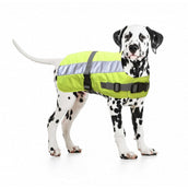 Giacca per cani Duvo+ Flectalon Hi Vis Giallo Giacca per cani Duvo+ Flectalon Hi Vis Giallo