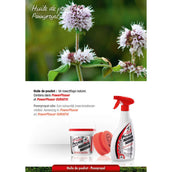 Leovet Faser di potenza Leovet Faser di potenza