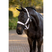 LeMieux Capezzina Versailles Lilla LeMieux Capezzina Versailles Lilla