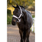 LeMieux Capezzina Versailles Lilla LeMieux Capezzina Versailles Lilla