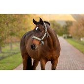 LeMieux Capezzina Essence Rosemary LeMieux Capezzina Essence Rosemary