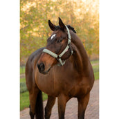 LeMieux Capezzina Essence Rosemary LeMieux Capezzina Essence Rosemary