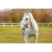 LeMieux Capezzina Ropella Cranberry LeMieux Capezzina Ropella Cranberry