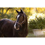 LeMieux Capezzina Ropella Lilla LeMieux Capezzina Ropella Lilla