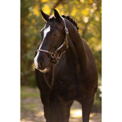 LeMieux Capezzina Ropella Lilla LeMieux Capezzina Ropella Lilla