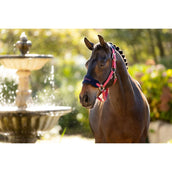 LeMieux Set Cavezza Vogue Cranberry LeMieux Set Cavezza Vogue Cranberry