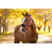 LeMieux Set Cavezza Vogue Cranberry LeMieux Set Cavezza Vogue Cranberry