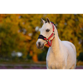 LeMieux Set Cavezza Mini Vogue Cranberry LeMieux Set Cavezza Mini Vogue Cranberry