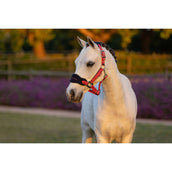 LeMieux Set Cavezza Mini Vogue Cranberry LeMieux Set Cavezza Mini Vogue Cranberry