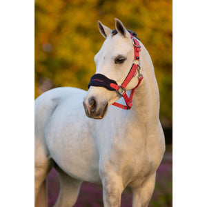 LeMieux Set Cavezza Mini Vogue Cranberry LeMieux Set Cavezza Mini Vogue Cranberry