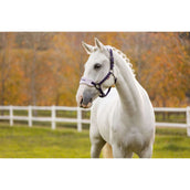 LeMieux Set Cavezza Vogue Juniper LeMieux Set Cavezza Vogue Juniper