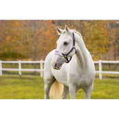 LeMieux Set Cavezza Vogue Juniper LeMieux Set Cavezza Vogue Juniper