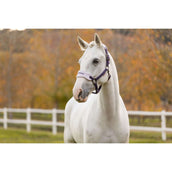 LeMieux Set Cavezza Vogue Juniper LeMieux Set Cavezza Vogue Juniper