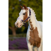 LeMieux Set Cavezza Mini Vogue Juniper LeMieux Set Cavezza Mini Vogue Juniper