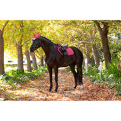 LeMieux Sottosella Suede saltando Cranberry LeMieux Sottosella Suede saltando Cranberry