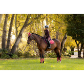 LeMieux Sottosella Loire Classic saltando Cranberry LeMieux Sottosella Loire Classic saltando Cranberry
