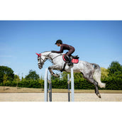 LeMieux Sottosella Loire Classic saltando Cranberry LeMieux Sottosella Loire Classic saltando Cranberry