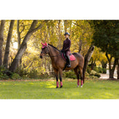 LeMieux Sottosella Loire Classic saltando Cranberry LeMieux Sottosella Loire Classic saltando Cranberry