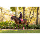 LeMieux Sottosella Loire Classic saltando Cranberry LeMieux Sottosella Loire Classic saltando Cranberry