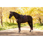 LeMieux Sottosella Loire Classic saltando Damson LeMieux Sottosella Loire Classic saltando Damson