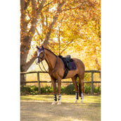 LeMieux Sottosella Merino Loire Classic Dressage Juniper LeMieux Sottosella Merino Loire Classic Dressage Juniper