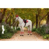 LeMieux Sottosella Loire Classic Uso generale Cranberry LeMieux Sottosella Loire Classic Uso generale Cranberry