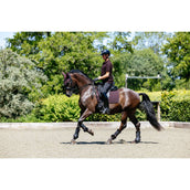 LeMieux Polo Classique Uomini Damson LeMieux Polo Classique Uomini Damson