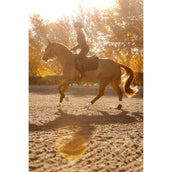 LeMieux Sottosella Essence saltando Nero LeMieux Sottosella Essence saltando Nero