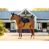 LeMieux Sottosella Essence saltando Nero LeMieux Sottosella Essence saltando Nero