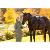 LeMieux Sottosella Essence saltando Damson LeMieux Sottosella Essence saltando Damson