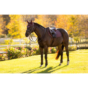 LeMieux Sottosella Essence saltando Damson LeMieux Sottosella Essence saltando Damson