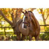 LeMieux Capezzina Essence Damson LeMieux Capezzina Essence Damson