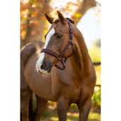 LeMieux Capezzina Essence Damson LeMieux Capezzina Essence Damson