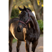 LeMieux Capezzina Essence Damson LeMieux Capezzina Essence Damson