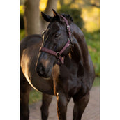 LeMieux Capezzina Essence Damson LeMieux Capezzina Essence Damson