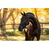 LeMieux Capezzina Essence Nero LeMieux Capezzina Essence Nero