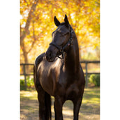 LeMieux Capezzina Essence Nero LeMieux Capezzina Essence Nero