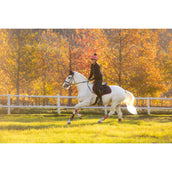 LeMieux Sottosella Suede saltando Navy/Cranberry LeMieux Sottosella Suede saltando Navy/Cranberry