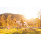 LeMieux Sottosella Suede saltando Navy/Cranberry LeMieux Sottosella Suede saltando Navy/Cranberry